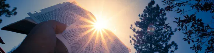 holding Bible up to sun