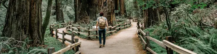 un hombre buscando su camino en la naturaleza